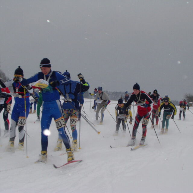 ,https://eol.vatsondev.ee/eol/uudised/825.jpg,2013/11/15 00:00:00,825

EOL suusaorienteerumise noortelaager toimub Põlvas”