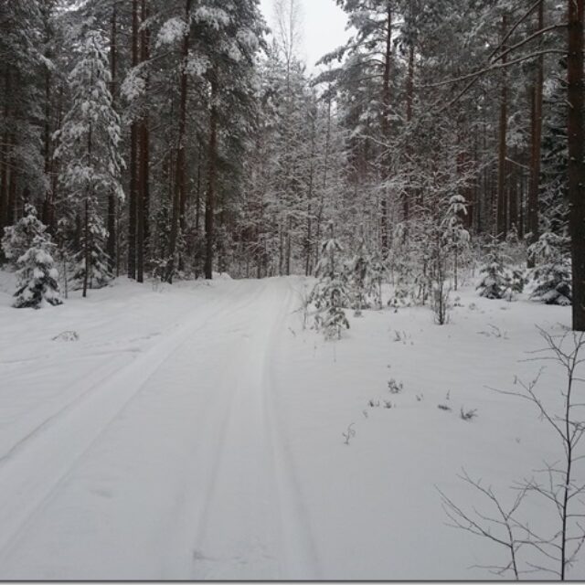 ,https://eol.vatsondev.ee/eol/uudised/953.jpg,2015/01/31 00:00:00,953

EMV suusaorienteerumise lühi- ja tavarajal sel nädalavahetusel”