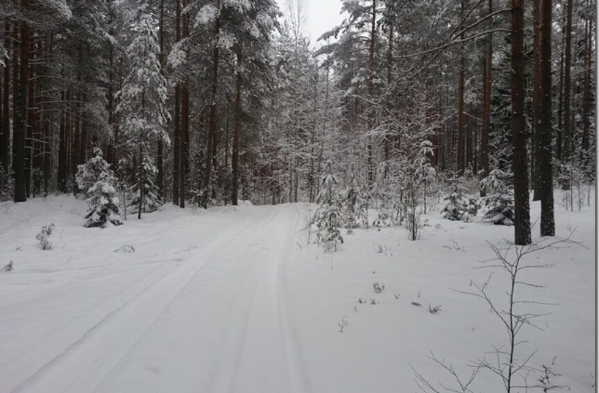 ,https://eol.vatsondev.ee/eol/uudised/953.jpg,2015/01/31 00:00:00,953

EMV suusaorienteerumise lühi- ja tavarajal sel nädalavahetusel”