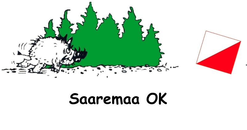 Saaremaa OK